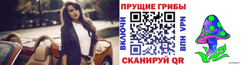 Галлюциногенные грибы Psilocybine cubensis  купить  сайты  Нелидово 